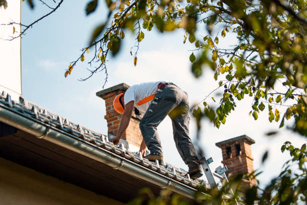 Best New Roof Installation  in Ravenna, MI
