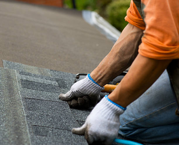 Best Roof Maintenance Services  in Ravenna, MI