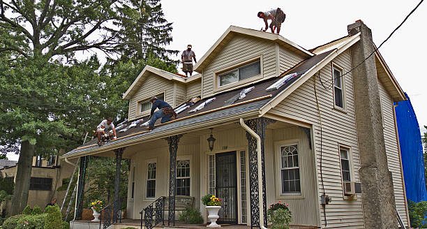 Best New Roof Installation  in Ravenna, MI