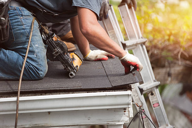 Best Shingle Roofing Installation  in Ravenna, MI